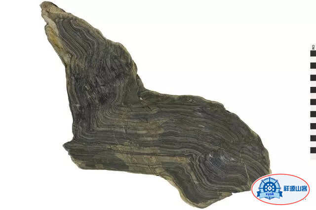 什麼是三大巖石類？