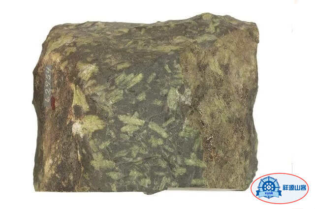 什麼是三大巖石類？