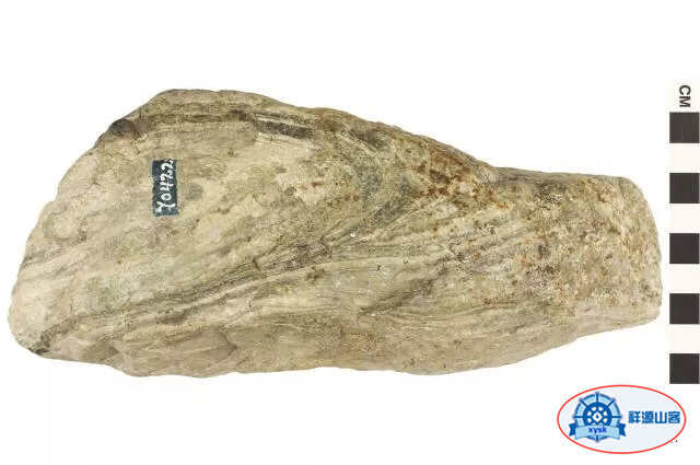 美麗的鵝卵石