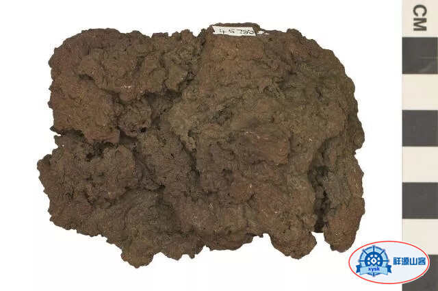 美麗的鵝卵石