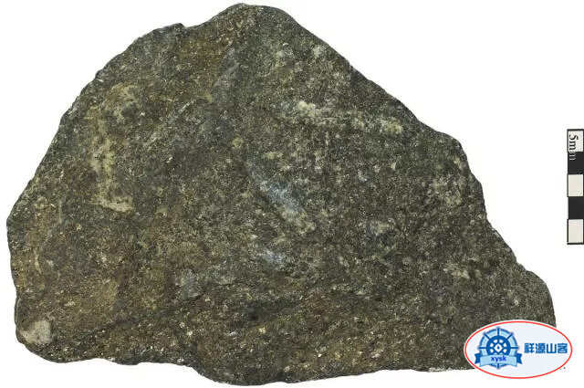 美麗的鵝卵石