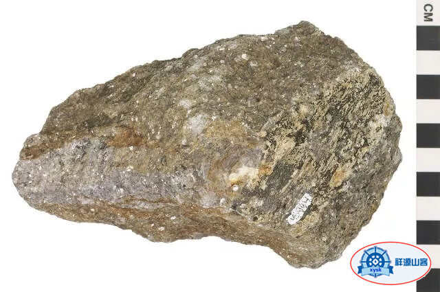 美麗的鵝卵石