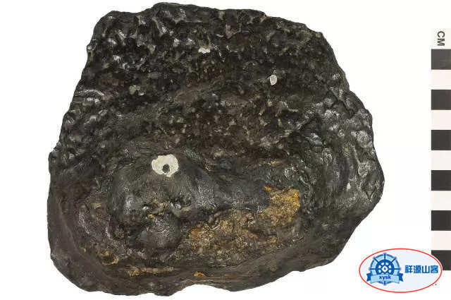 美麗的鵝卵石