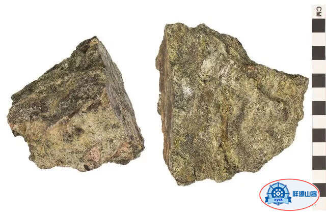 沉積巖和變質巖