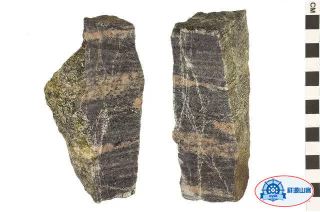 沉積巖和變質巖
