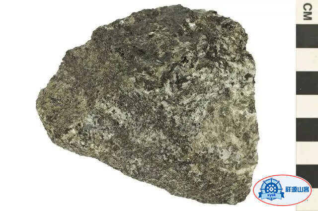 沉積巖和變質巖