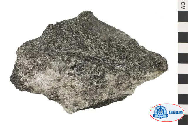 沉積巖和變質巖
