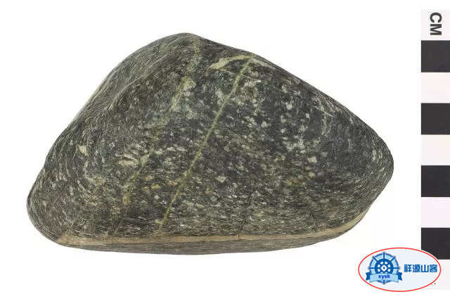 沉積巖和變質巖