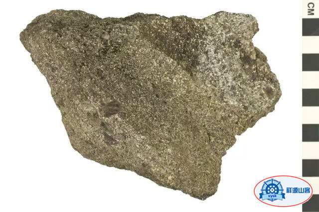沉積巖和變質巖