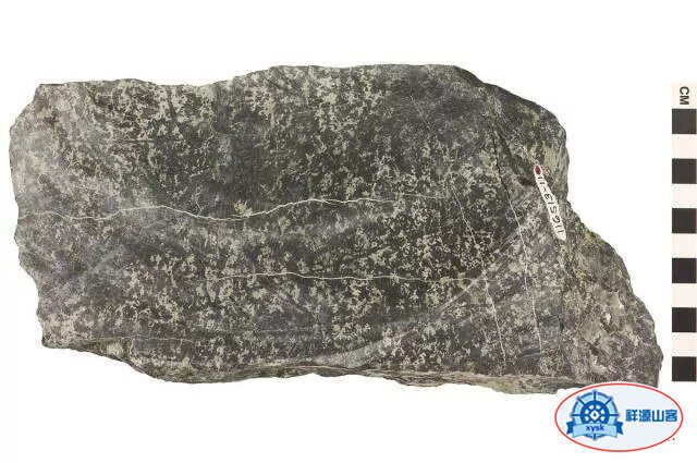 沉積巖和變質巖