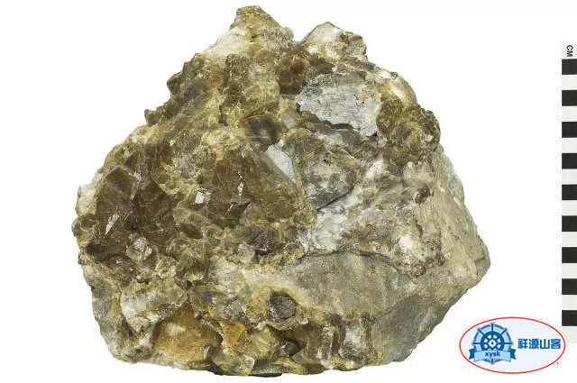 沉積巖和變質巖