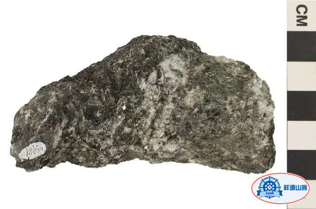 沉積巖和變質巖