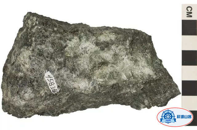 沉積巖和變質巖